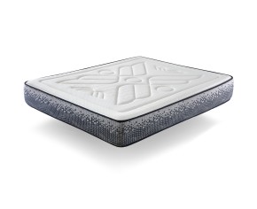 ENERGEX | SCHAUM 29 CM