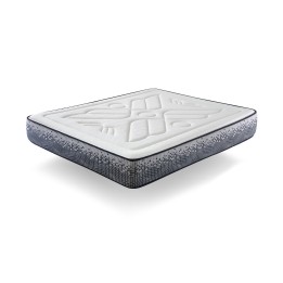 ENERGEX | MOLLA 29CM